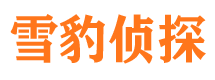 翠峦市侦探调查公司